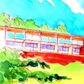 Wuhan 19 (2008)